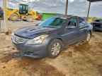 2010 NISSAN ALTIMA