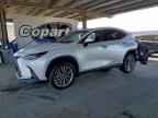 2025 LEXUS NX 350