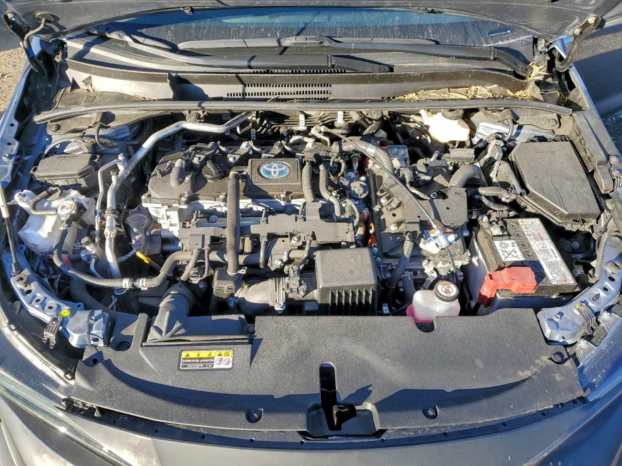 2023 TOYOTA COROLLA