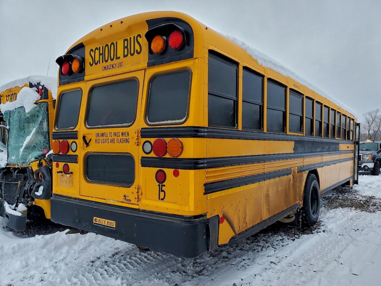 2018 BLUE BIRD