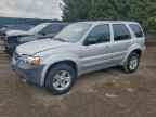 2006 FORD ESCAPE