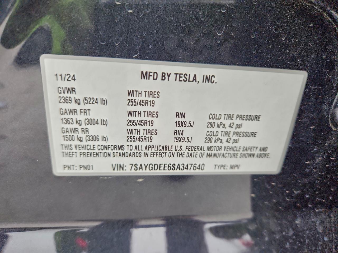2025 TESLA MODEL Y