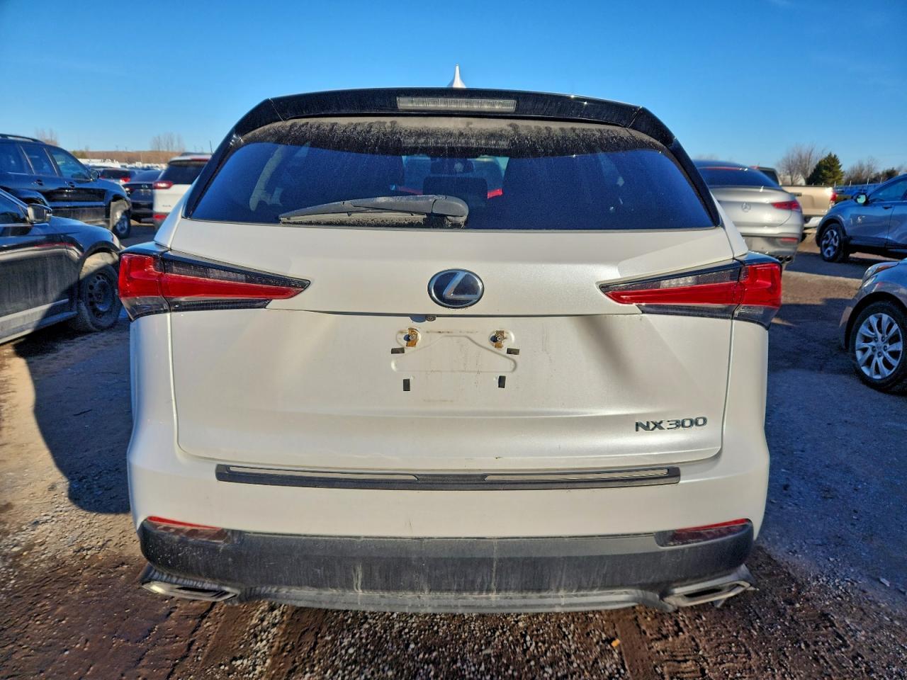2018 LEXUS NX 300