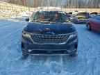 2024 KIA Carnival