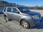 2013 HONDA PILOT