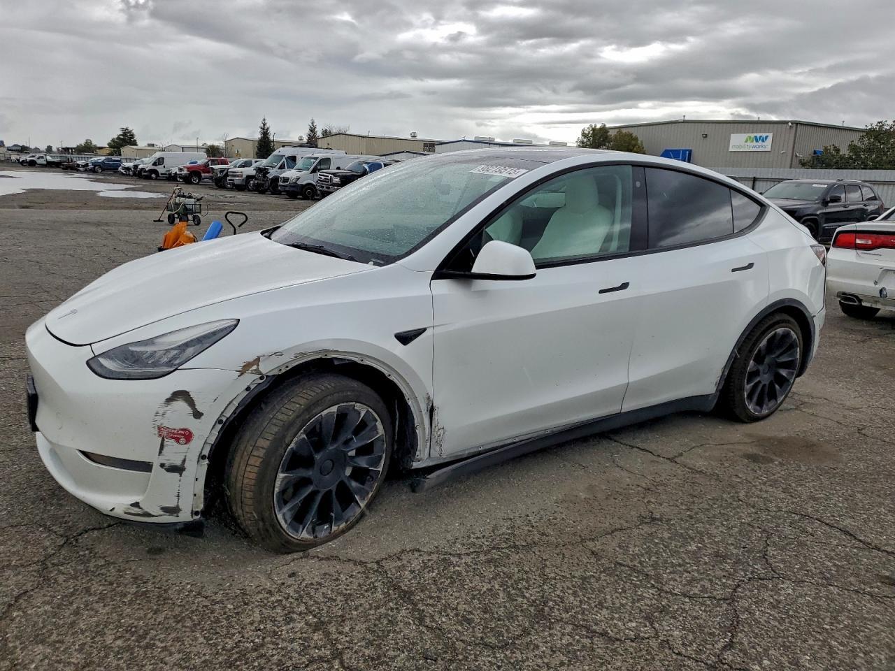 2021 TESLA MODEL Y