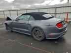 2023 FORD MUSTANG
