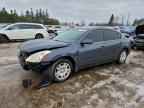 2010 NISSAN ALTIMA