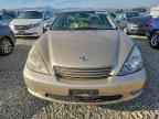 2004 LEXUS ES 330