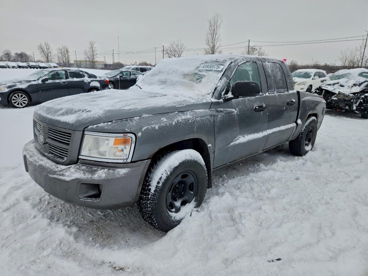 2010 DODGE Dakota