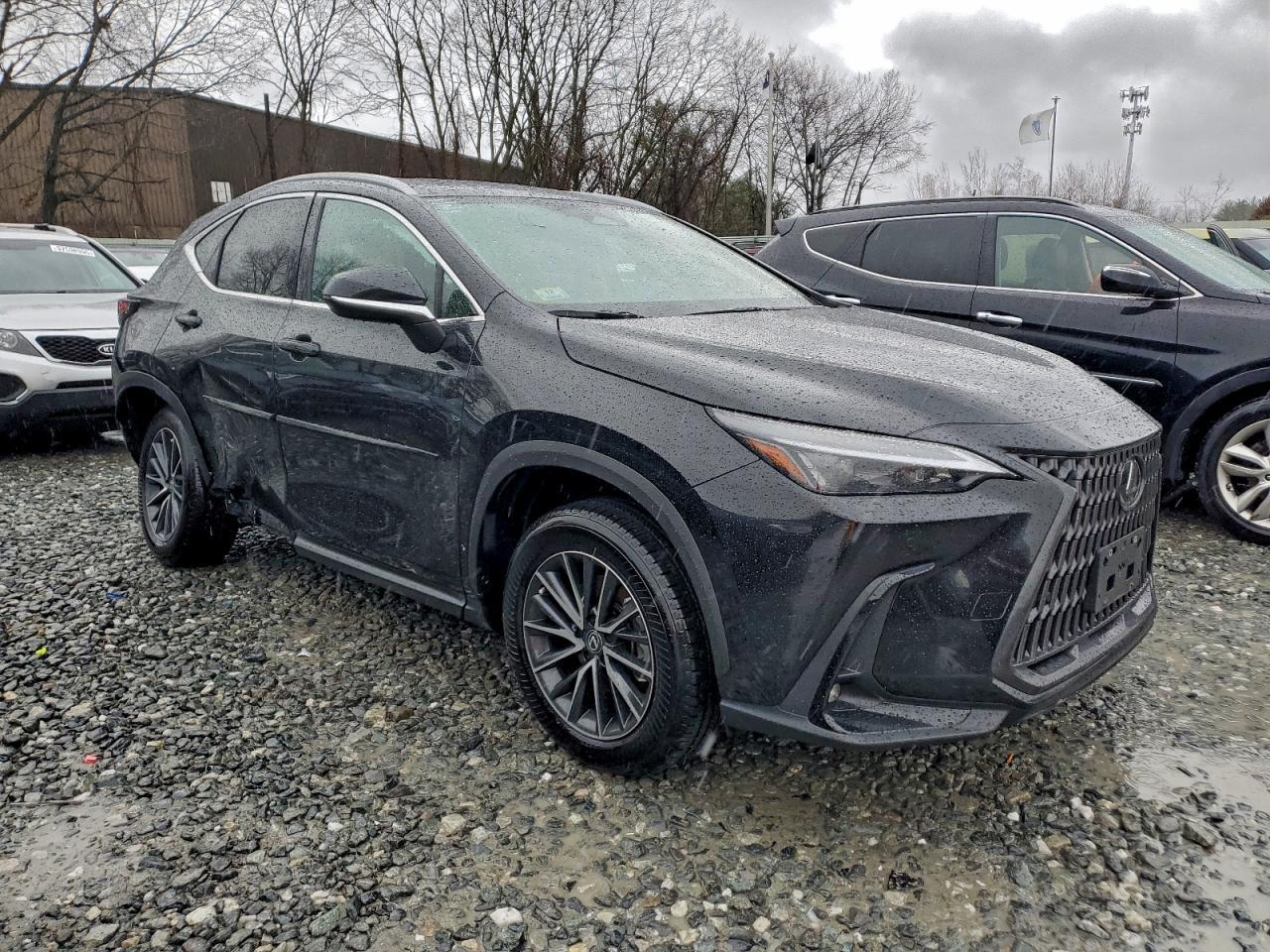 2025 LEXUS NX 250