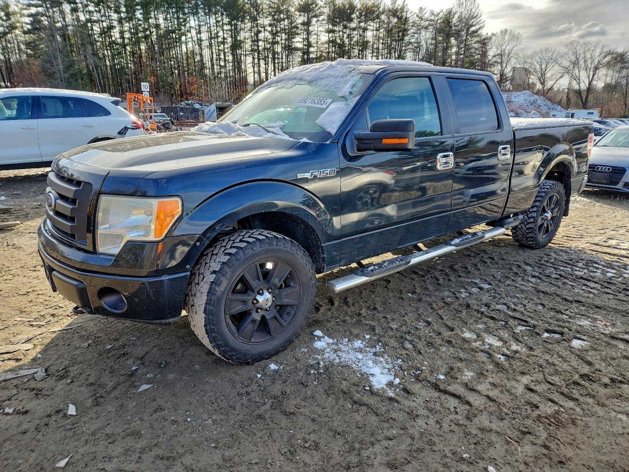 2010 FORD F-150