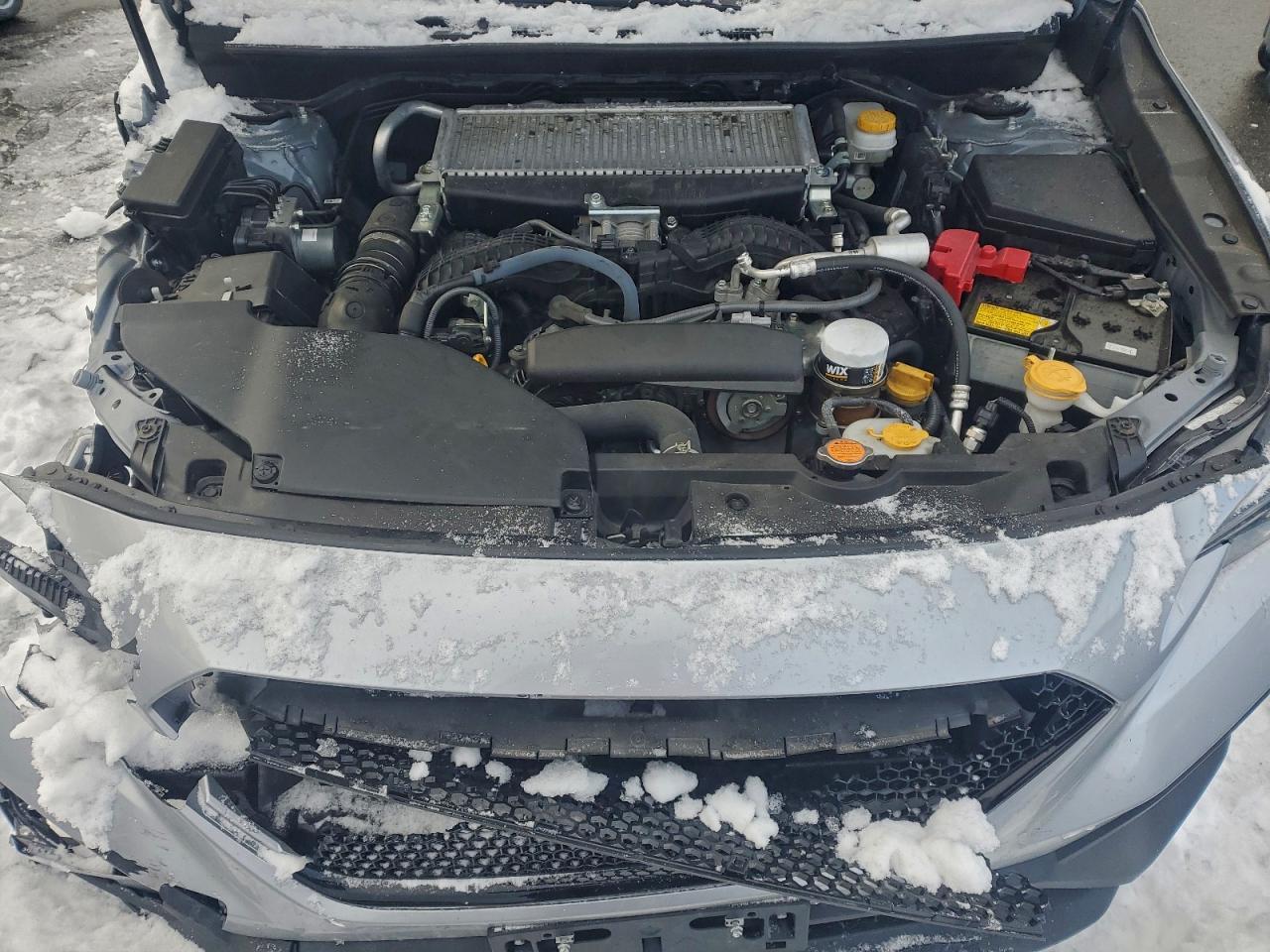 2023 SUBARU WRX