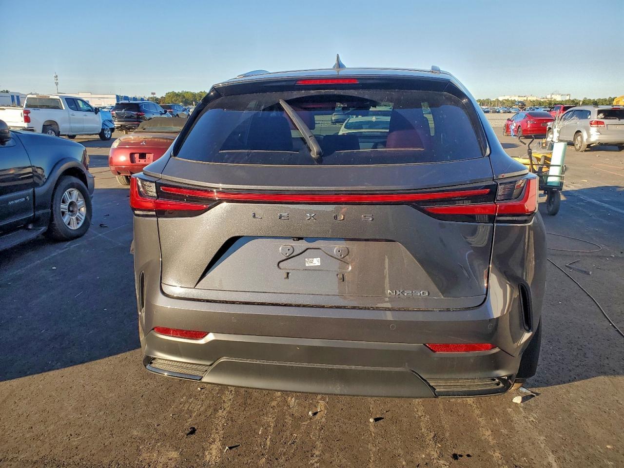 2025 LEXUS NX 250