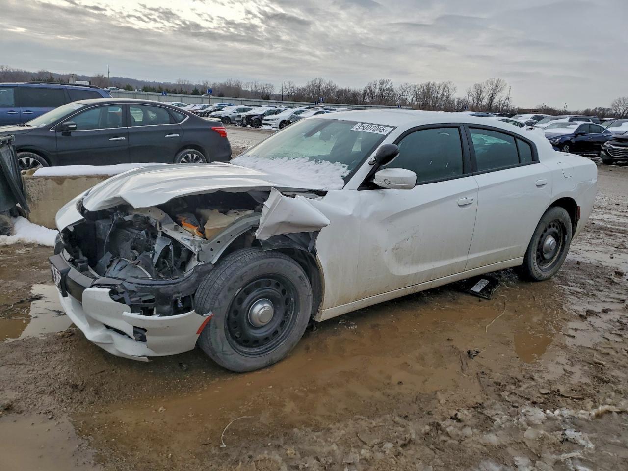 2019 DODGE CHARGER
