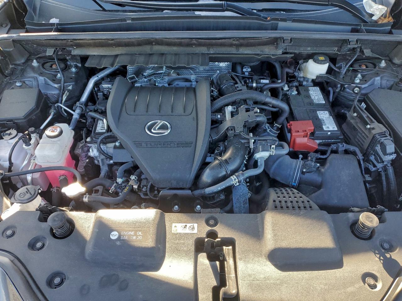 2024 LEXUS NX 350