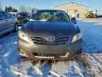 2010 TOYOTA CAMRY