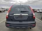 2010 HONDA CR-V
