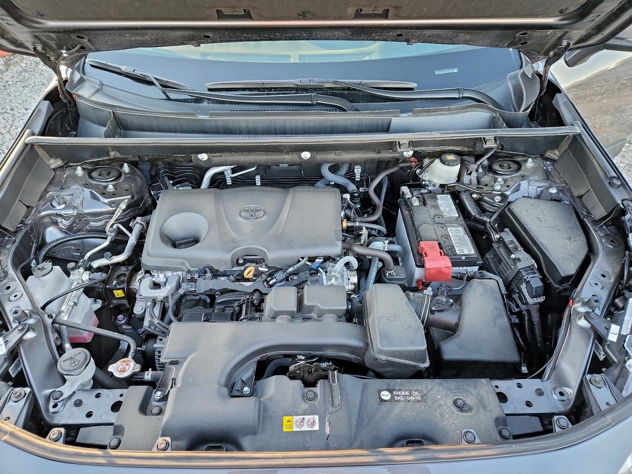 2024 TOYOTA RAV4