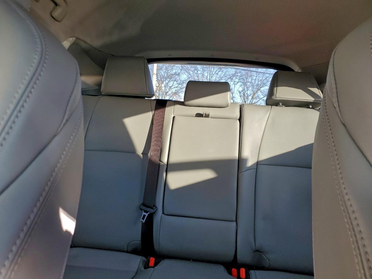 2023 TOYOTA VENZA