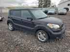 2011 KIA SOUL