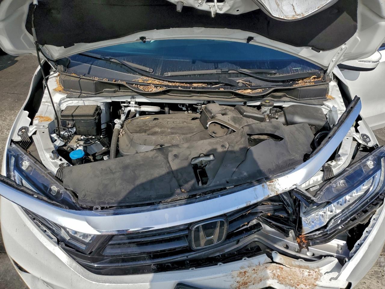 2023 HONDA ODYSSEY
