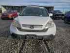 2007 HONDA CR-V