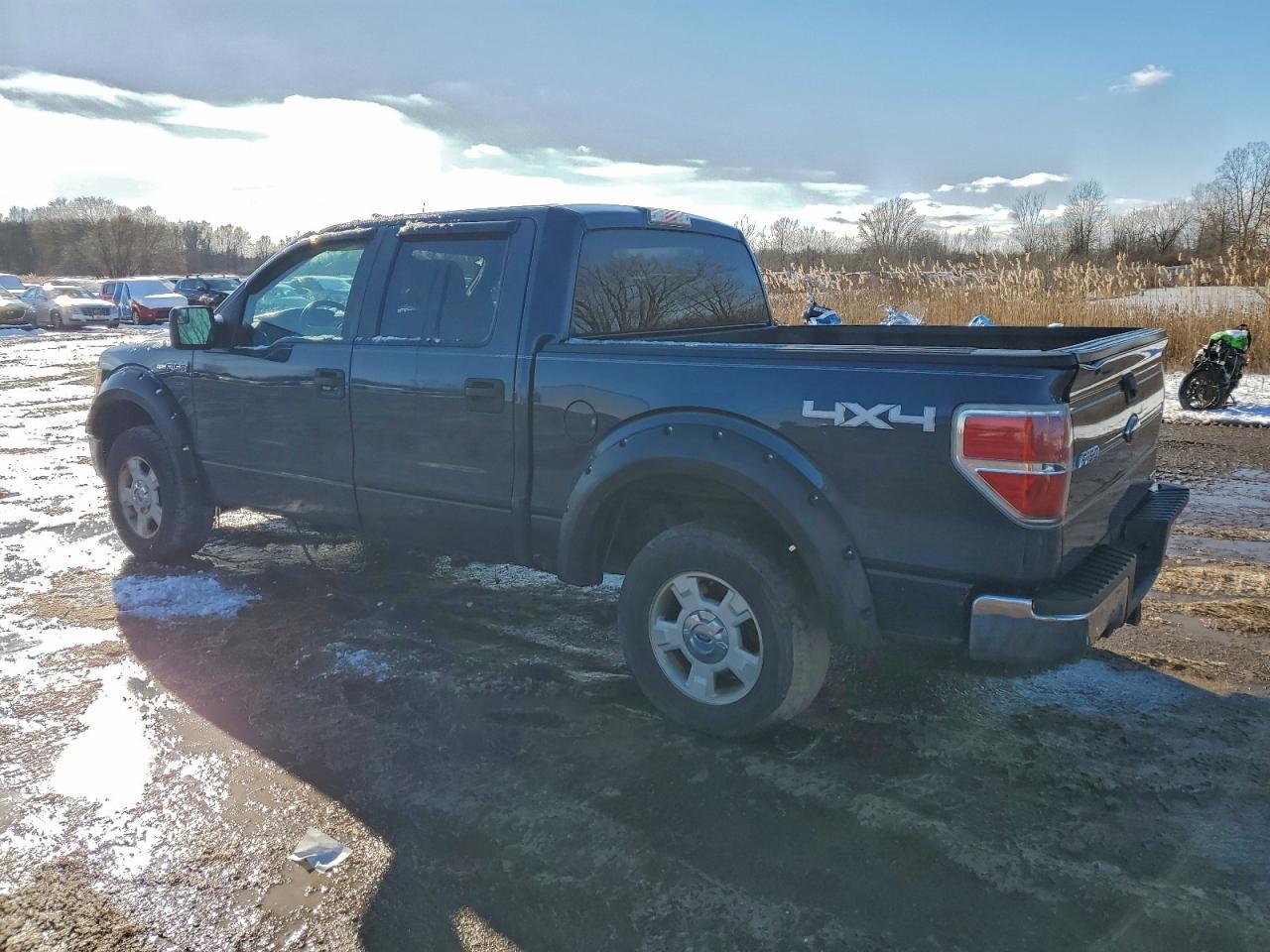 2013 FORD F-150