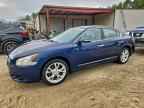 2013 NISSAN Maxima