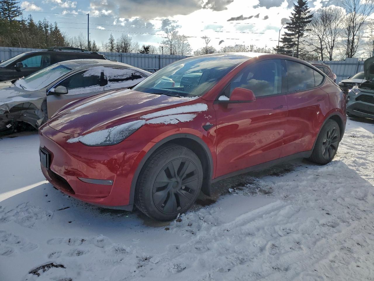 2025 TESLA MODEL Y