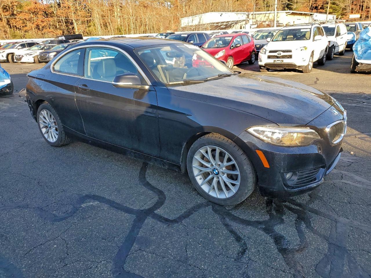 2015 BMW 2 Series
