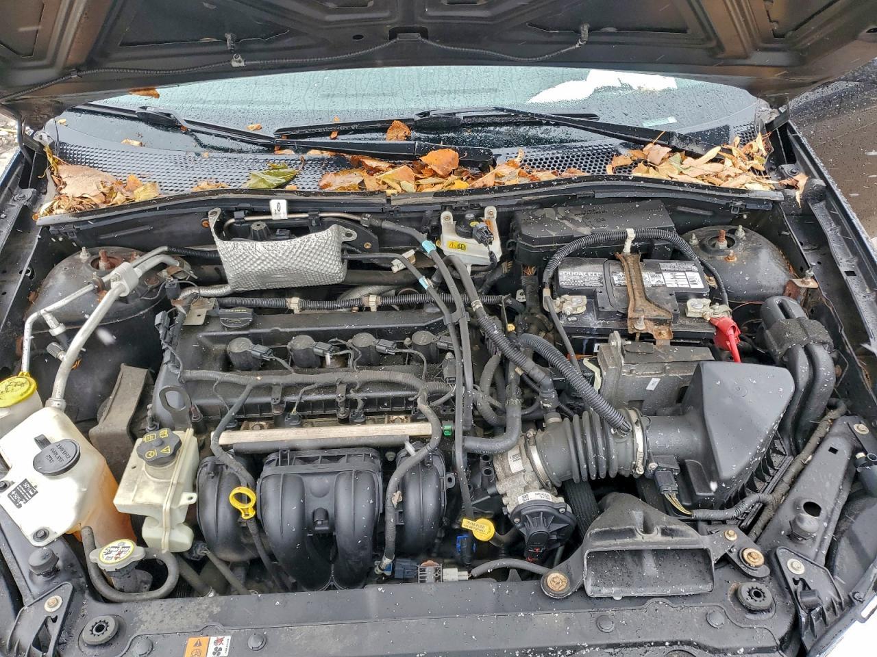 2009 FORD FOCUS