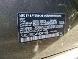 2025 BMW X6