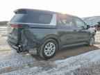 2024 KIA Carnival