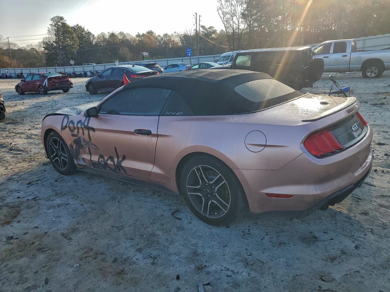 2019 FORD MUSTANG