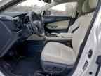 2025 LEXUS Nx