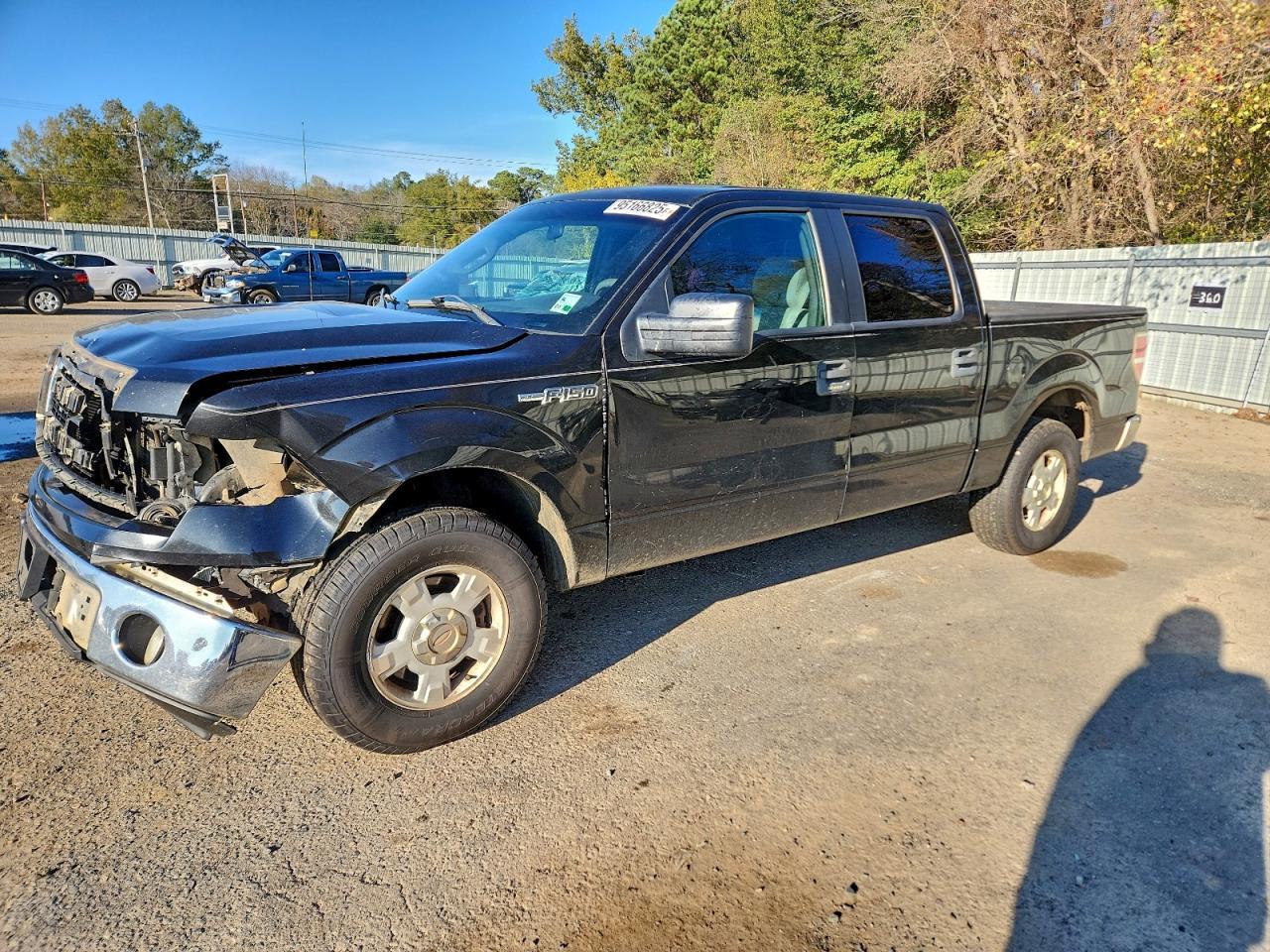 2013 FORD F-150