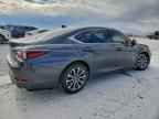 2023 LEXUS ES 350