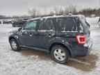 2010 FORD ESCAPE