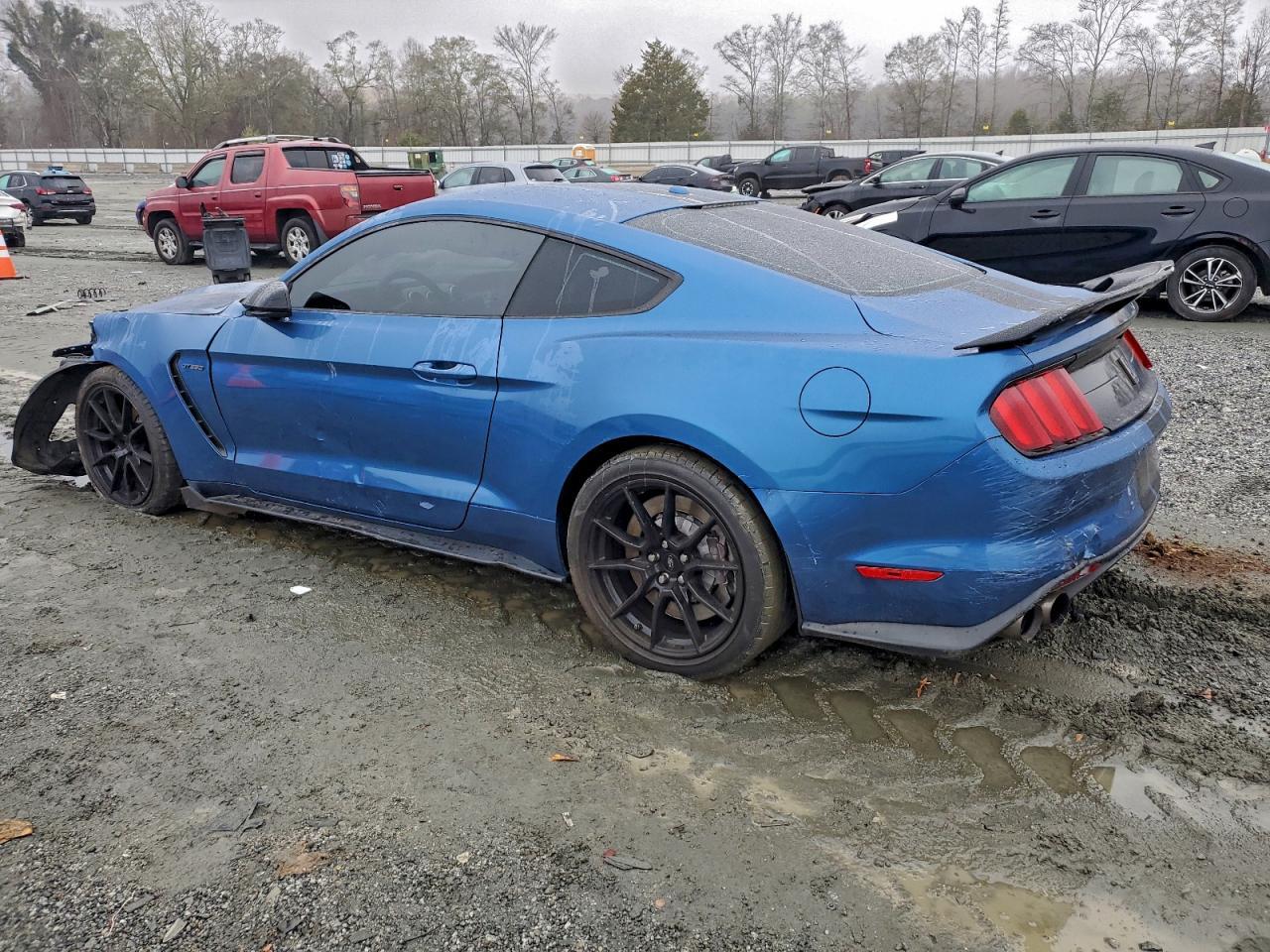 2019 FORD MUSTANG