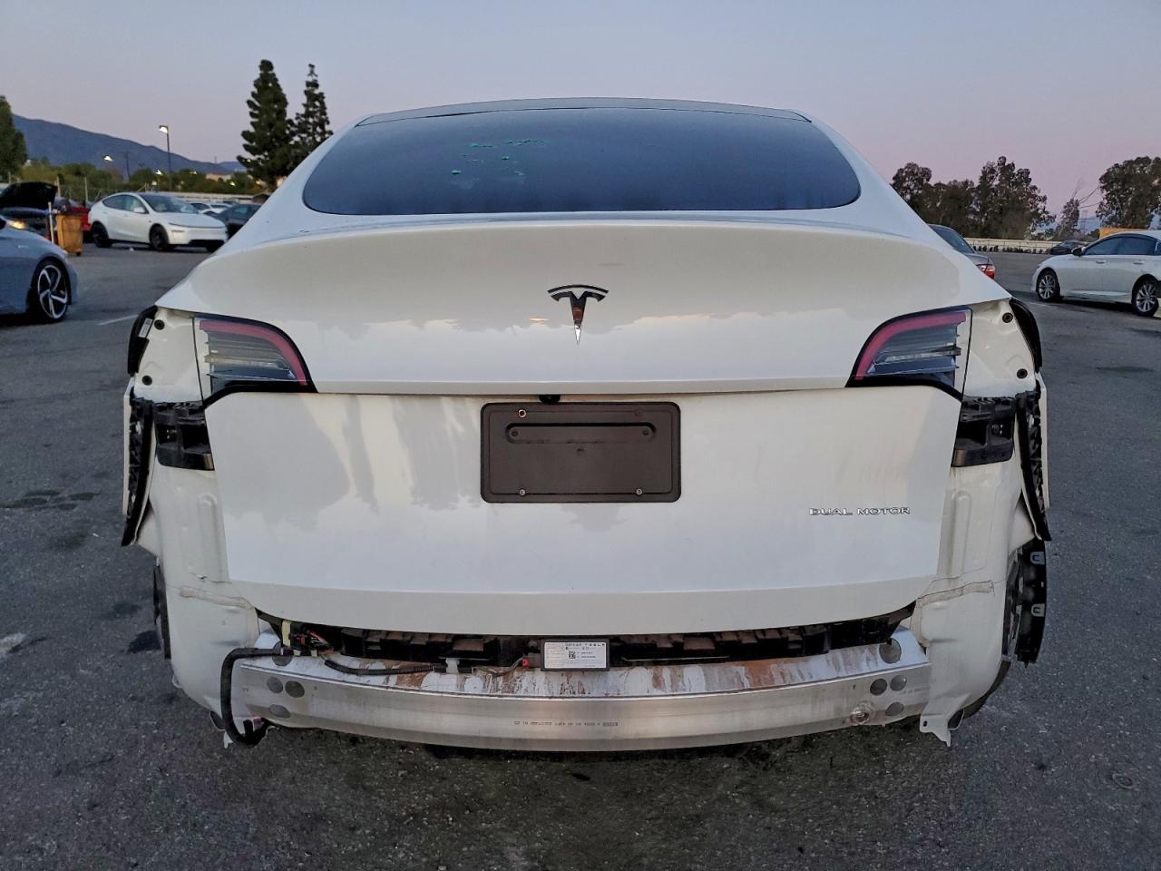 2024 TESLA MODEL Y