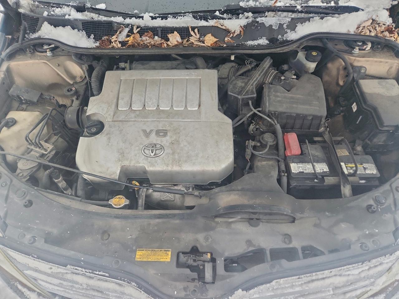 2010 TOYOTA VENZA