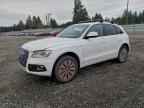 2013 AUDI Q5