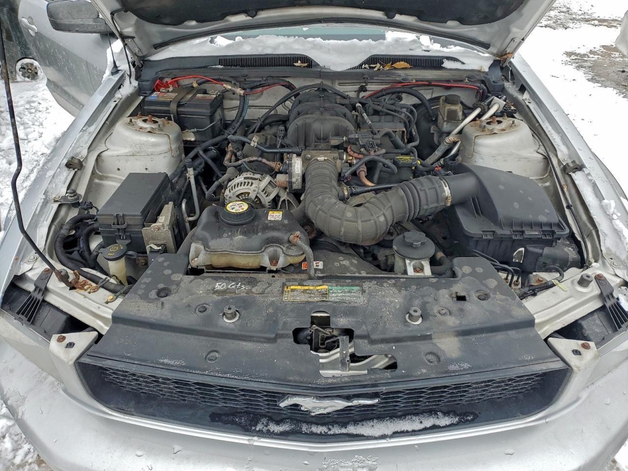 2009 FORD MUSTANG