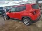 2019 JEEP Renegade