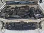 2005 TOYOTA Sequoia