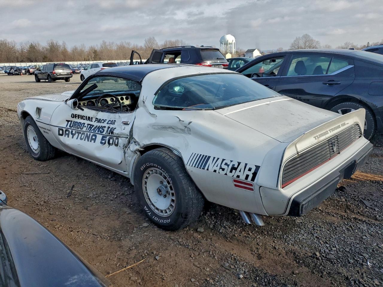 1981 PONTIAC Firebird