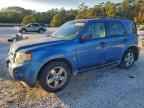 2009 FORD ESCAPE