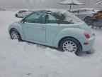 2005 VOLKSWAGEN Beetle