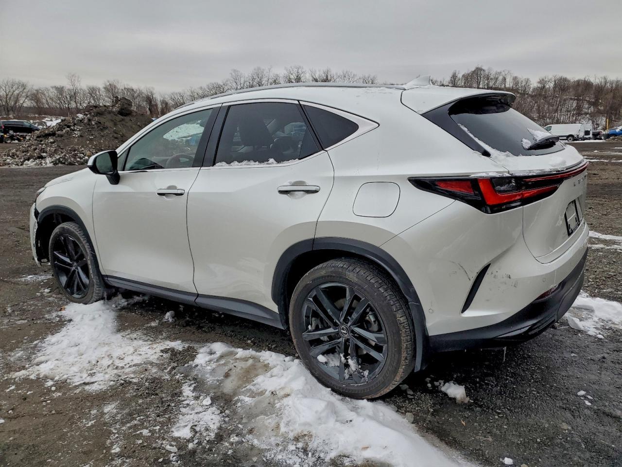 2025 LEXUS Nx